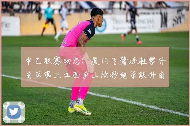 中乙联赛动态：厦门飞鹭连胜攀升南区第三江西庐山读秒绝杀跃升南区第四