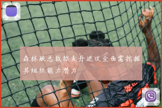 森林狼总裁称麦丹进攻全面需挖掘其组织能力潜力